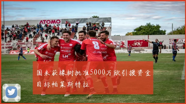 国米获橡树批准5000万欧引援资金目标帕莱斯特拉