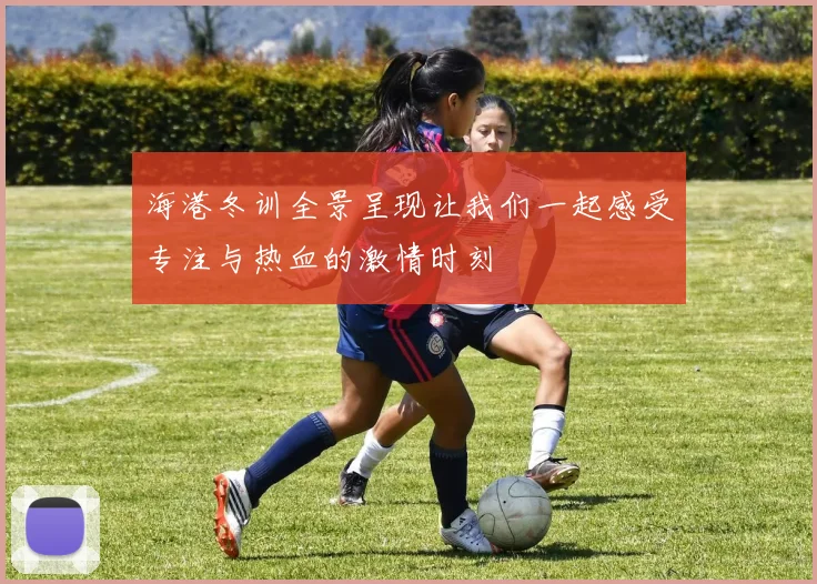 海港冬训全景呈现让我们一起感受专注与热血的激情时刻